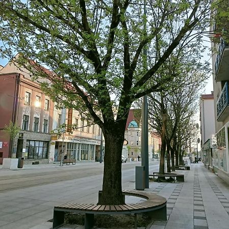 Apartament Bulwar Gorzów Wielkopolski Eksteriør bilde